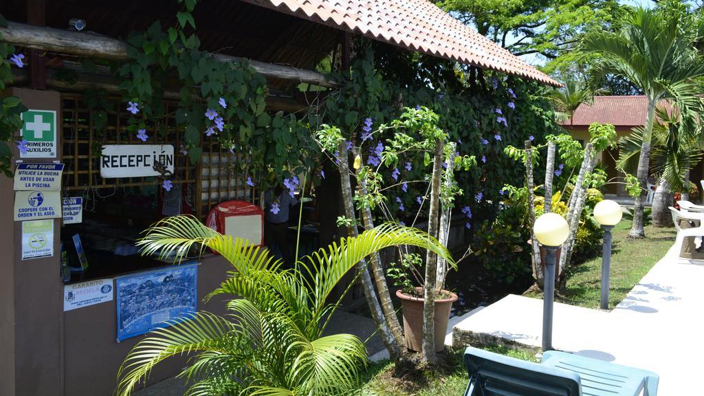 Creole Hotel 3*