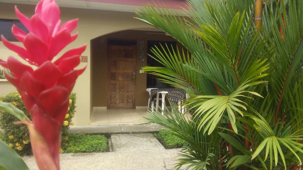 Creole Hotel 3*